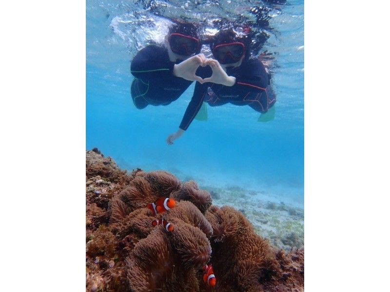 (Private rental for peace of mind♡) It's OK even if you can't swim! Snorkeling in Miyakojima where you can get up close and personal with sea turtles! No seasickness! Ages 3 and up are welcome! Free underwater camera rental available♡ Free photos and videosの紹介画像