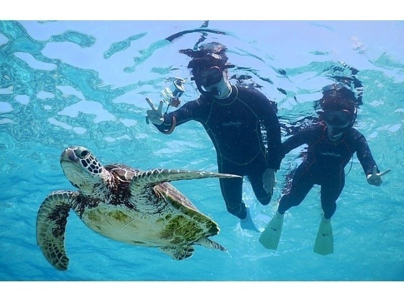 (Private rental for peace of mind♡) It's OK even if you can't swim! Snorkeling in Miyakojima where you can get up close and personal with sea turtles! No seasickness! Ages 3 and up are welcome! Free underwater camera rental available♡ Free photos and videosの紹介画像