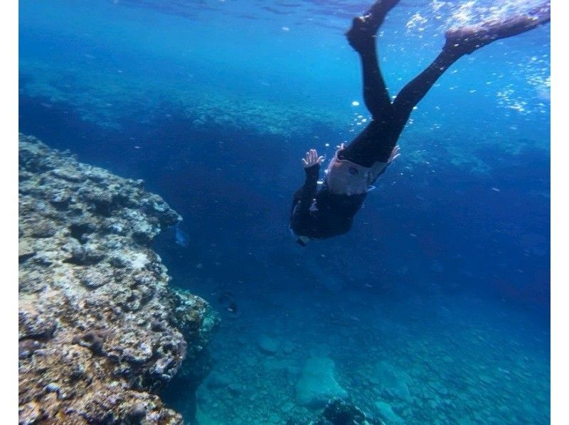 【투명도 MAX】열대어와 헤엄치는 스노클링《겨울은 바다가 가장 클리어》の紹介画像