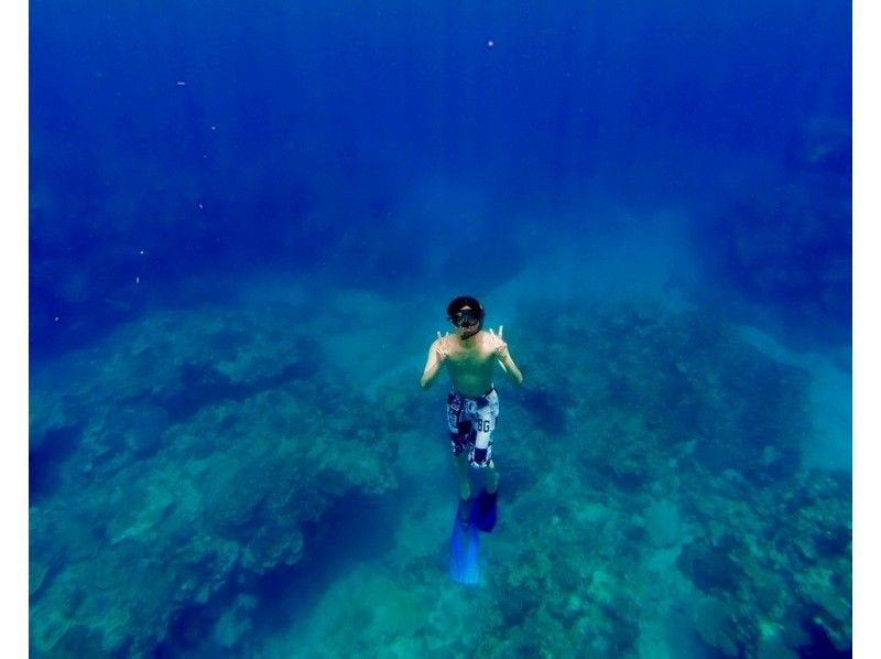 【투명도 MAX】열대어와 헤엄치는 스노클링《겨울은 바다가 가장 클리어》の紹介画像