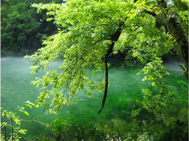 【送迎付 １名～】人気の清津峡と名水龍ヶ窪 へぎそばランチの旅の紹介画像