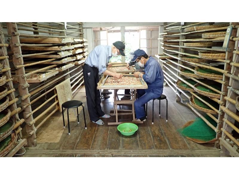 【福島県・福島市】ふくしまシルクロードの旅　～ 養蚕で巡る信達地方 ～の紹介画像