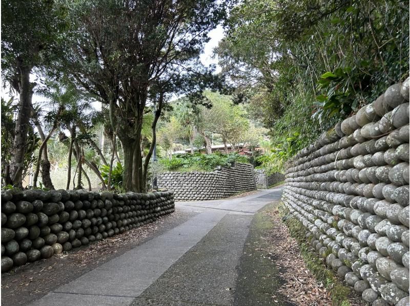 【東京・伊豆諸島】2026年4月18日(土)～19日（日）復幸応援島サイクリング八丈島。都心から南に250km。常春の島をサイクリングで巡るの紹介画像