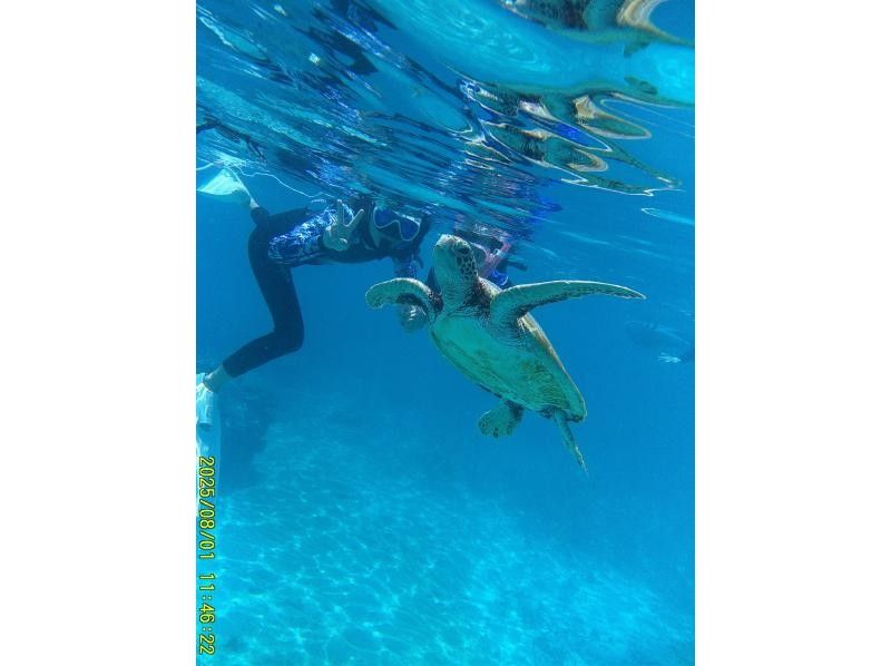 [Okinawa, Miyakojima] Snorkeling in 2.5 hours. Tours run 5 times a day! (From sunrise to sunset) Beginners, women, and children welcome! Come empty-handed!の紹介画像