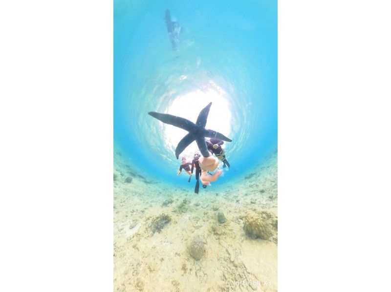 Swim with turtles (high chance of encountering them) [Nakayukui, Onna Village] Beach entry skin diving (for beginners)の紹介画像
