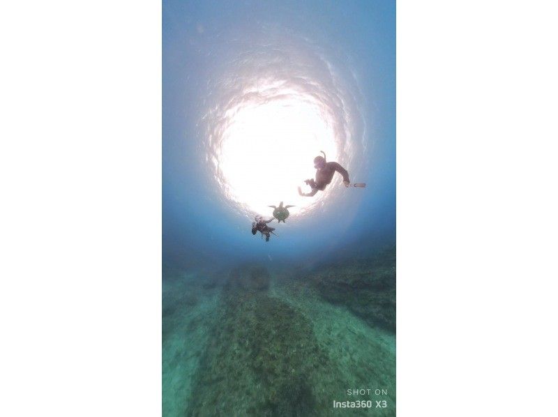 Swim with turtles (high chance of encountering them) [Nakayukui, Onna Village] Beach entry skin diving (for beginners)の紹介画像