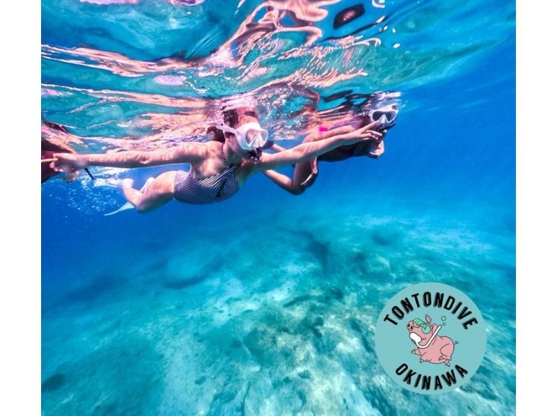Student discount! Swim with turtles (high chance of encountering them) [Nakayukui, Onna Village] Beach entry snorkelingの紹介画像