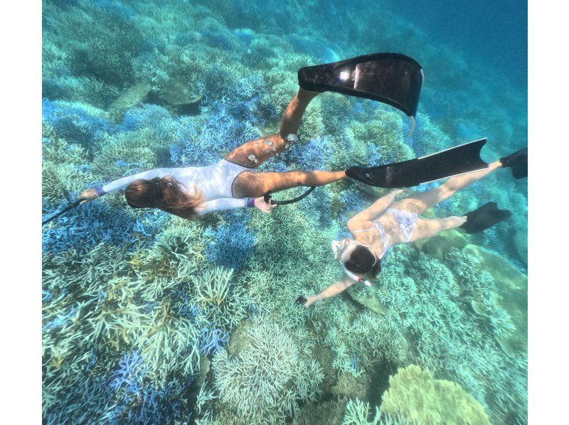 Student discount! Swim with turtles (high chance of encountering them) [Nakayukui, Onna Village] Beach entry snorkelingの紹介画像