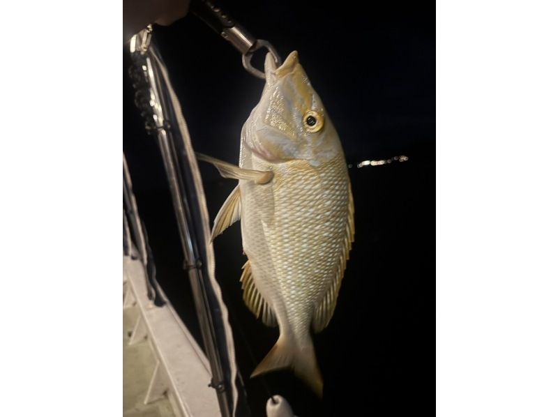 NEW!!! "Empty-handed & same-day reservations OK" ☆Starry Sky Fishing Tour☆の紹介画像