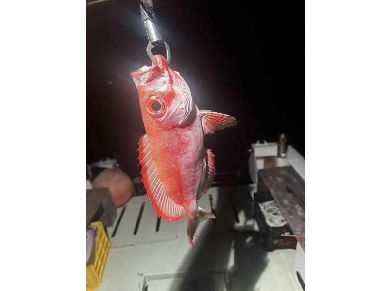 NEW!!! "Empty-handed & same-day reservations OK" ☆Starry Sky Fishing Tour☆の紹介画像