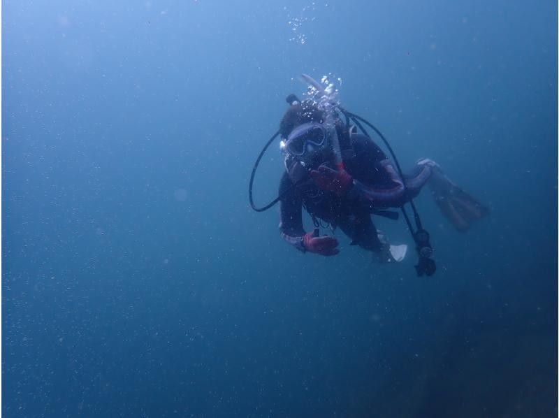 【大阪発・和歌山】ライセンス必須・ビーチ２DIVE★迷子ダイバーwelcome！和歌山の海でリフレッシュダイブ（お一人様参加）の紹介画像