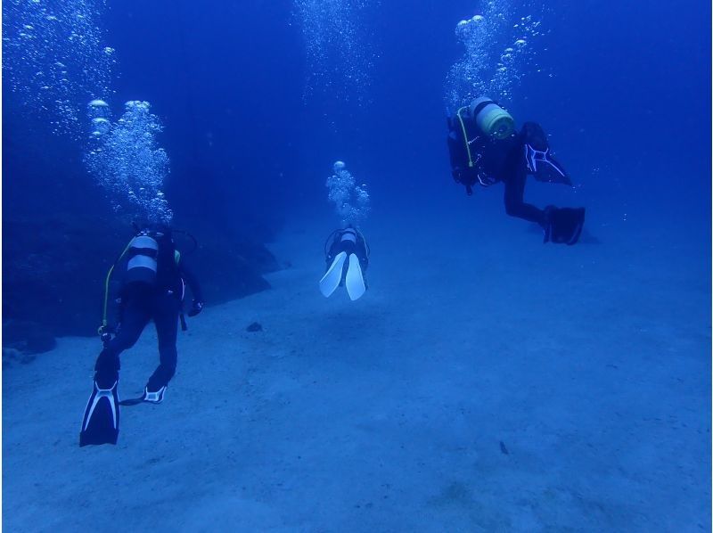 【大阪発・和歌山】ライセンス必須・ビーチ２DIVE★迷子ダイバーwelcome！和歌山の海でリフレッシュダイブ（2人で参加）の紹介画像