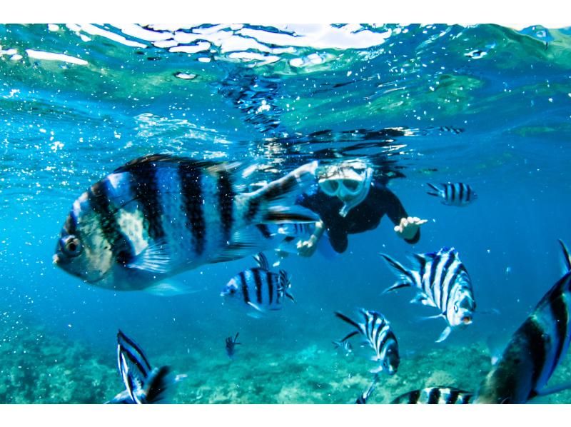 從那霸(沖繩/北谷)出發,35分鐘即可體驗乘船浮潛❤️ 您可以在航班起飛前或起飛後當天參加⭕ 免費提供毛巾和涼鞋❗ 專業相機免費拍攝照片和視頻の紹介画像