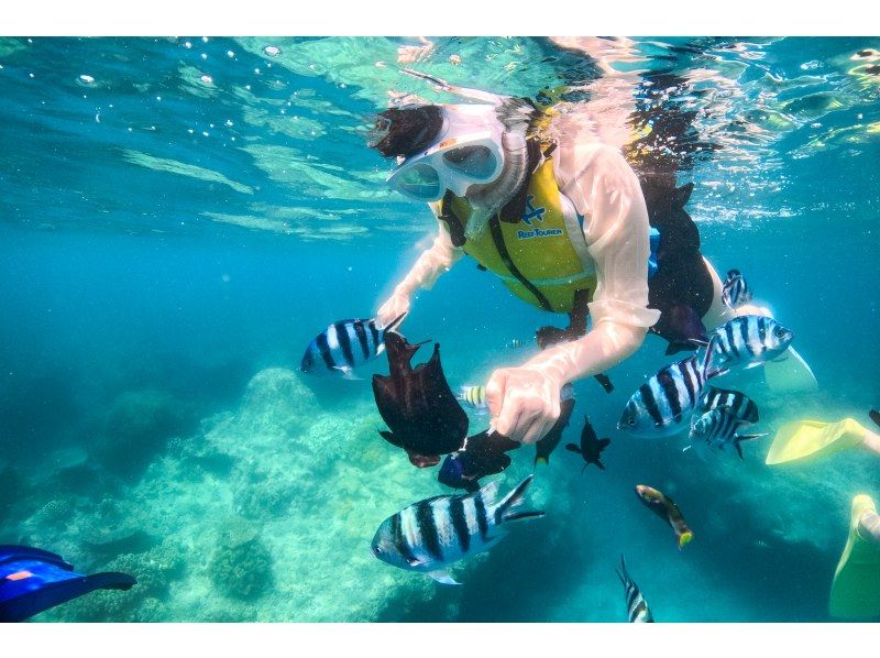 從那霸(沖繩/北谷)出發,35分鐘即可體驗乘船浮潛❤️ 您可以在航班起飛前或起飛後當天參加⭕ 免費提供毛巾和涼鞋❗ 專業相機免費拍攝照片和視頻の紹介画像