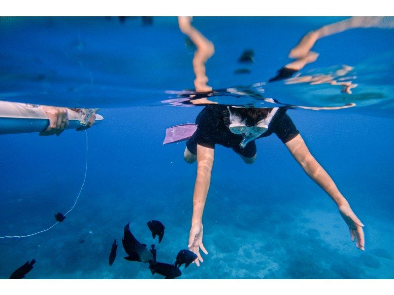 從那霸(沖繩/北谷)出發,35分鐘即可體驗乘船浮潛❤️ 您可以在航班起飛前或起飛後當天參加⭕ 免費提供毛巾和涼鞋❗ 專業相機免費拍攝照片和視頻の紹介画像