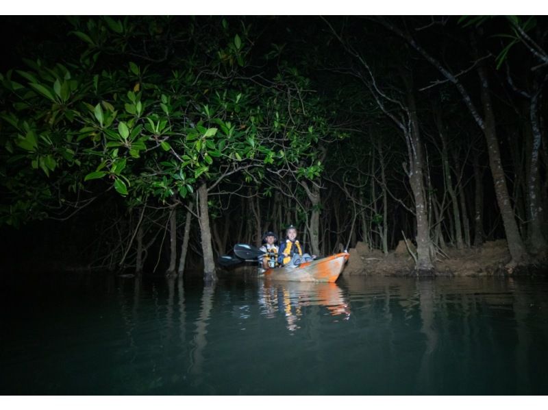 <Okinawa, Nago> Night Kayak Tour Night Mangrove Kayak with Stargazing and Space Walking in Wansaka Oura Park ☆ 彡 Star Commentary, Photography for Each Participantの紹介画像