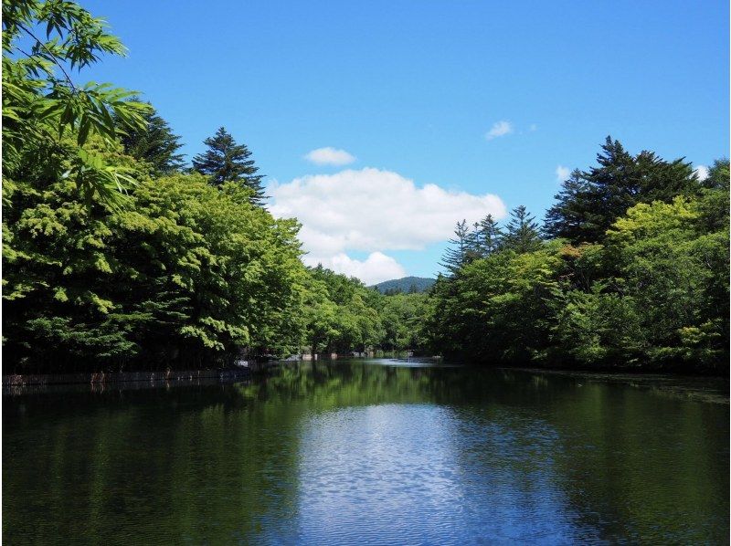[长野、轻井泽]<仅限工作日：秋季活动进行中★夏秋草莓采摘限量> 采摘的草莓可以带回家★免费炼乳★距离轻井泽站15分钟车程の紹介画像