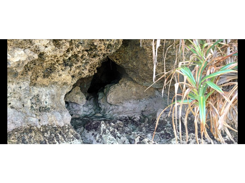 【名護市・今帰仁村・古宇利島】迷ったらコレ！バナナボートなど最新の乗り物６種類から2つ選べる海あそび満喫プラン！(Aプラン）の紹介画像