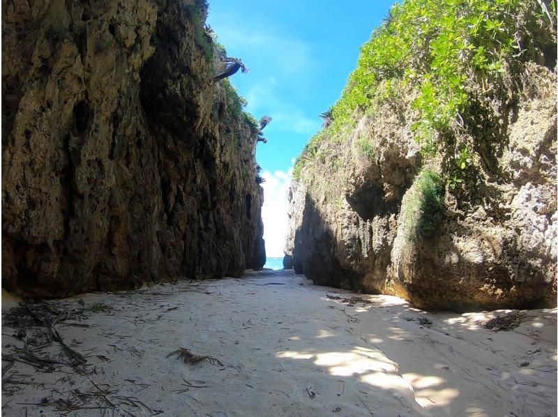 【名護市・今帰仁村・古宇利島】迷ったらコレ！バナナボートなど最新の乗り物６種類から2つ選べる海あそび満喫プラン！(Aプラン）の紹介画像