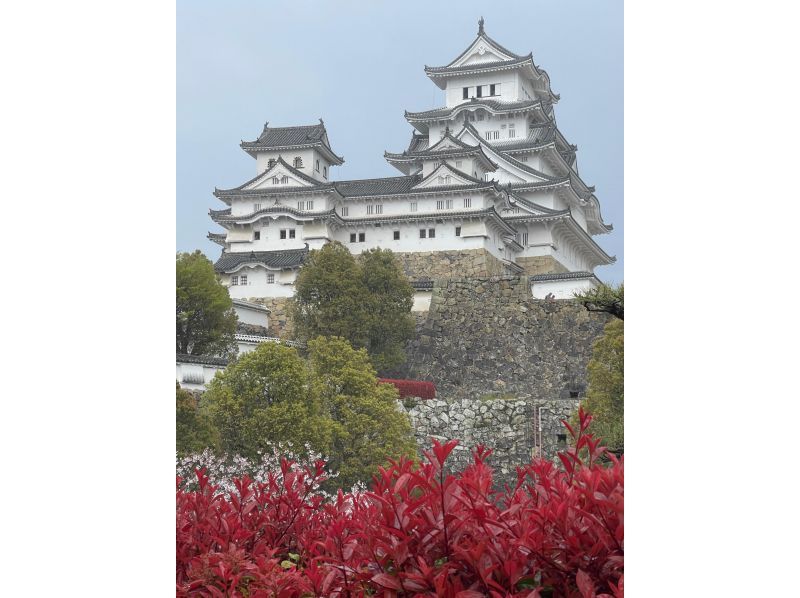 Himeji Morning E-Bike Tour - In Search of Himeji's Specialty Almond Toast - A completely private tour is also available.の紹介画像