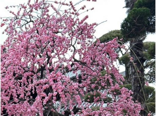 姫路 朝活モーニング e-bikeツアー ~姫路名物アーモンドトーストを求めて~ 朝食付き 完全プライベートもお選びいただけます。 姫路 朝活モーニング e-bikeツアー ~姫路名物アーモンドトーストを求めて~ 朝食付き 完全プライベートもお選びいただけます。