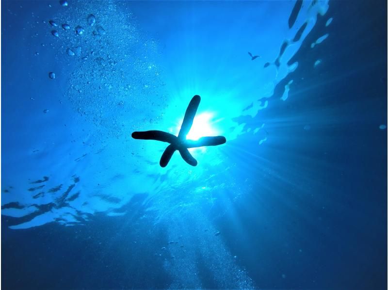 3月1日開始先着24人❤パラセーリング＆青の洞窟ダイビング❤️最楽遊びコラボを同時に♪GoPro無料写真動画すぐスマホへ❤️無料タオル餌あげの紹介画像