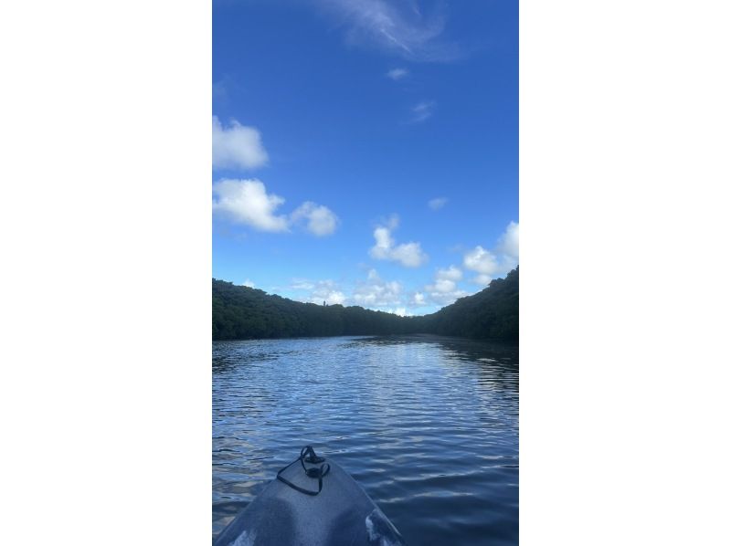 【石垣島/宮良川】遊びに迷ったらコレ♪宮良川マングローブで感動の大冒険★背もたれイス付きカヤックツアー！自然も腰も安心サポートの紹介画像