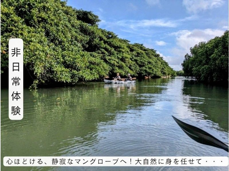【石垣島/宮良川】0才からOK!遊びに迷ったらコレ♪宮良川マングローブで感動の大冒険★背もたれイス付きカヤックツアー!自然も腰も安心サポートの紹介画像
