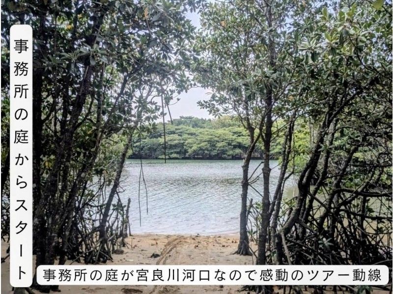 【石垣島/宮良川】0才からOK!遊びに迷ったらコレ♪宮良川マングローブで感動の大冒険★背もたれイス付きカヤックツアー！自然も腰も安心サポートの紹介画像