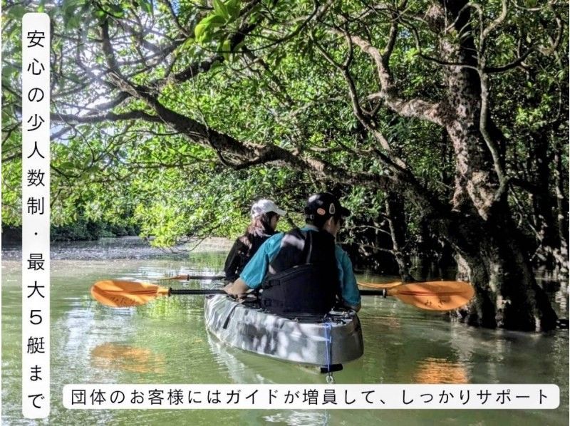 【石垣島/宮良川】0才からOK!遊びに迷ったらコレ♪宮良川マングローブで感動の大冒険★背もたれイス付きカヤックツアー!自然も腰も安心サポートの紹介画像