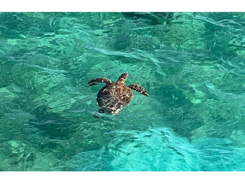 [Okinawa, Miyakojima] <Great Value Multi-Stay Discount Plan> Even if you don't have a driver's license, you can rent a car instead! Tour the island by electric mobility vehicle!の紹介画像