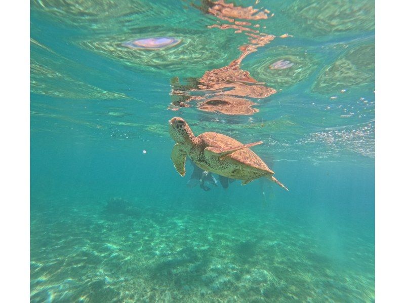 奄美大島【お得なセットプラン】ボートツアー(シュノーケル付)＆サンセットクルーズ（150分）★口コミ投稿で撮影データの無料プレゼントあり★の紹介画像