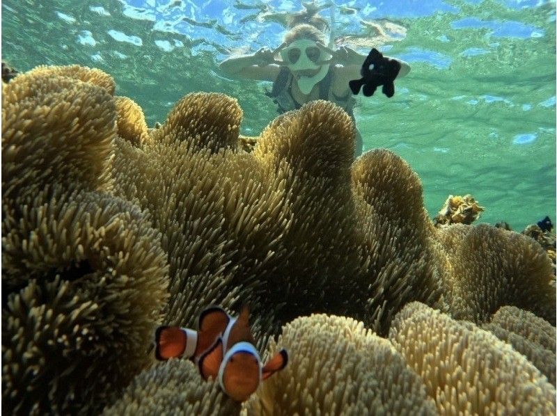 【青の洞窟＆高確率で会えるウミガメシュノーケル】☆初心者大歓迎☆〈当日予約2〜75歳OK〉〈写真データ・送迎・機材無料〉体験時間1.5時間の紹介画像