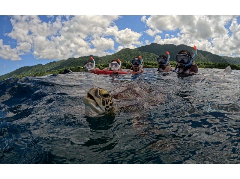 [Special opening price] 100% chance of encountering sea turtles! Blue Cave & Sea Turtle Snorkeling (same-day reservations, ages 2-75) Free transportation and photo dataの紹介画像