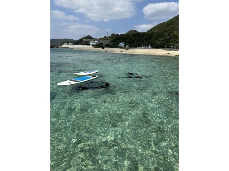【鹿児島・奄美大島】ウミガメを探すシュノーケルツアーとSUP体験〜2つの欲張りコース〈半日プラン・初めての方歓迎〉の紹介画像