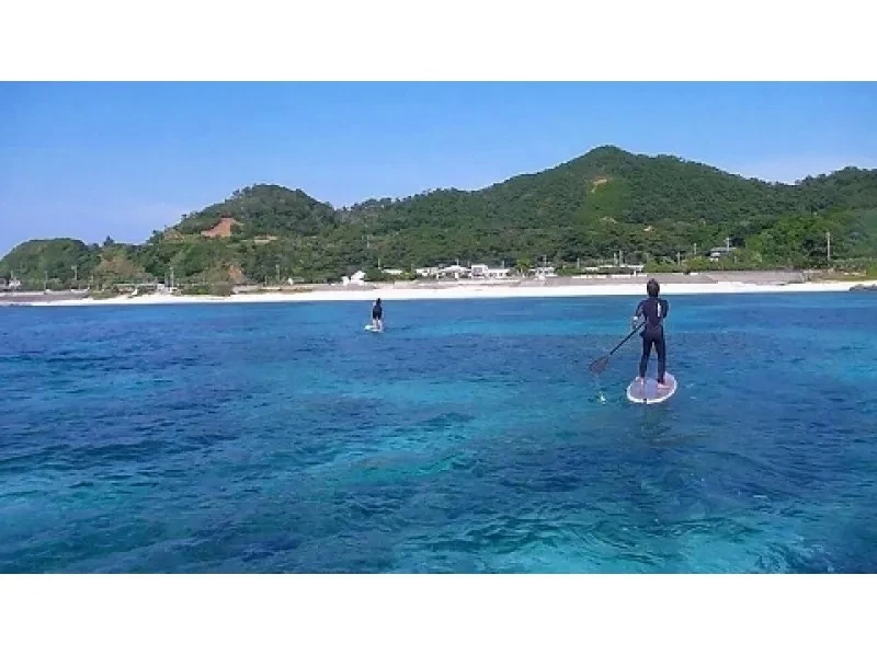 【鹿児島・奄美大島】ウミガメを探すシュノーケルツアーとSUP体験〜2つの欲張りコース〈半日プラン・初めての方歓迎〉の紹介画像