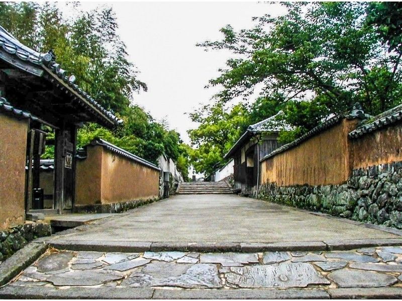 【大分・杵築市】 レンタル着物で杵築散策〜茶道体験と酒蔵見学の紹介画像