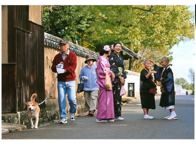 【大分・杵築市】 レンタル着物で杵築散策〜茶道体験と酒蔵見学の紹介画像