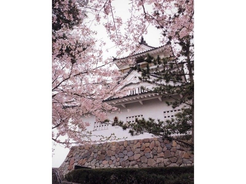 【大分・杵築市】 レンタル着物で杵築散策〜茶道体験と酒蔵見学の紹介画像