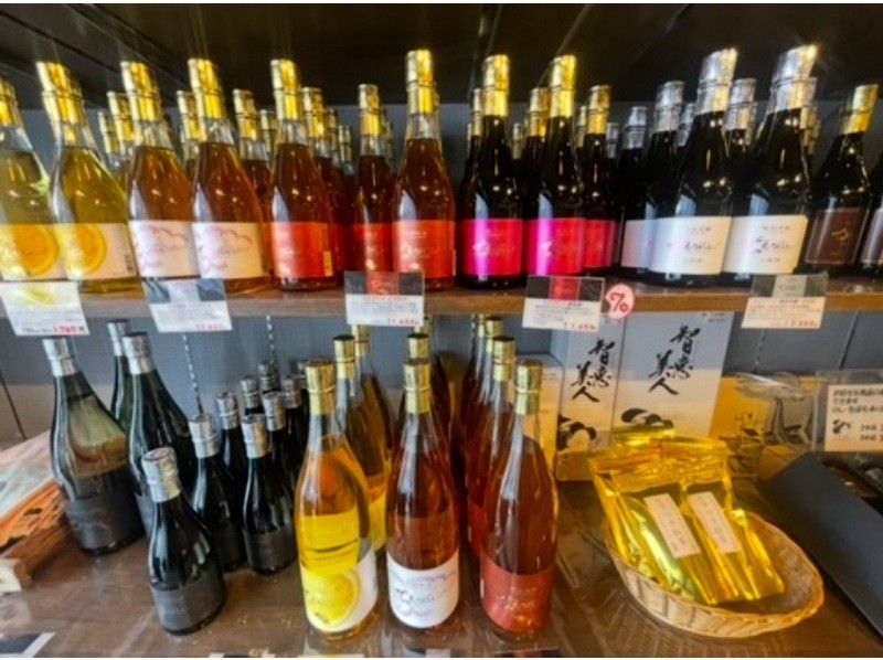 【大分・杵築市】 レンタル着物で杵築散策〜茶道体験と酒蔵見学の紹介画像