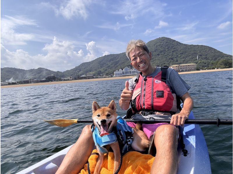 愛犬と一緒にシーカヤック！【ワン！だふるツアー】２時間の紹介画像