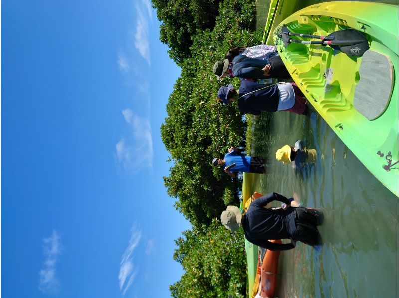 【沖縄・小浜島】1歳から参加OK☆マングローブカヤックツアー！亜熱帯ならではの自然を満喫♪満潮時のみ開催の紹介画像