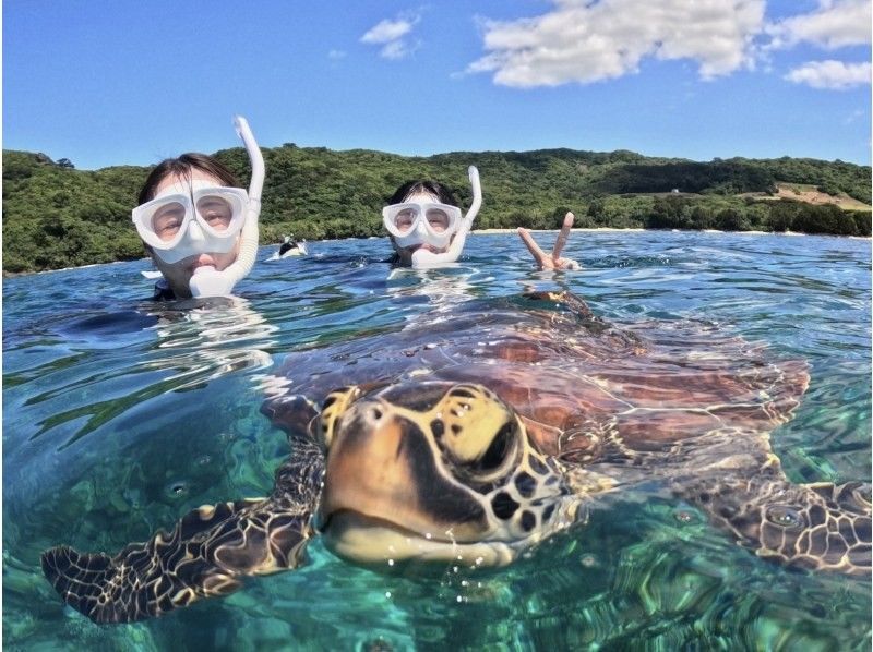 【石垣島/3時間】幻の島上陸＆高確率で会えるウミガメシュノーケルツアー★データ・機材・送迎無料｜当日予約・0〜85歳OKの紹介画像