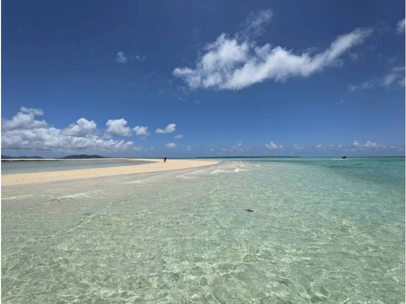 Same-day reservations accepted ★ Ages 0-85 [100% success rate of encountering sea turtles since opening] Snorkel tour to the mysterious island with a high chance of encountering sea turtles (photos and transportation included)の紹介画像