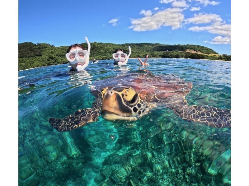 当日予約OK★0〜85歳【幻の島&times;高確率でウミガメに出会えるシュノーケルツアー】オープンからウミガメ遭遇率100%更新中(写真・送迎あり)の紹介画像