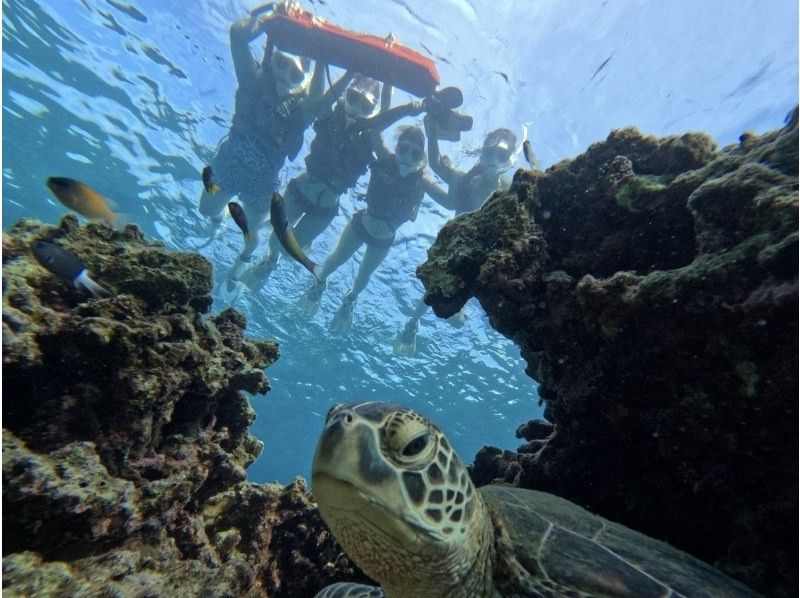 【石垣島/3時間】幻の島上陸＆高確率で会えるウミガメシュノーケルツアー★データ・機材・送迎無料｜当日予約・0〜85歳OKの紹介画像