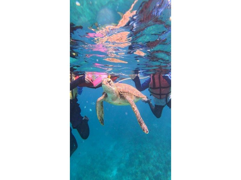 【石垣島】幻の島&ウミガメシュノーケルツアー遭遇率99% 少人数制で手厚くサポート0歳〜85歳OK!（当日予約・送迎・写真や動画プレゼント)の紹介画像
