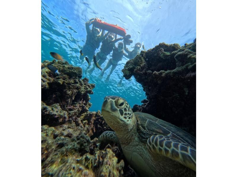 Same-day reservations accepted ★ Ages 0-85 [100% success rate of encountering sea turtles since opening] Snorkel tour to the mysterious island with a high chance of encountering sea turtles (photos and transportation included)の紹介画像