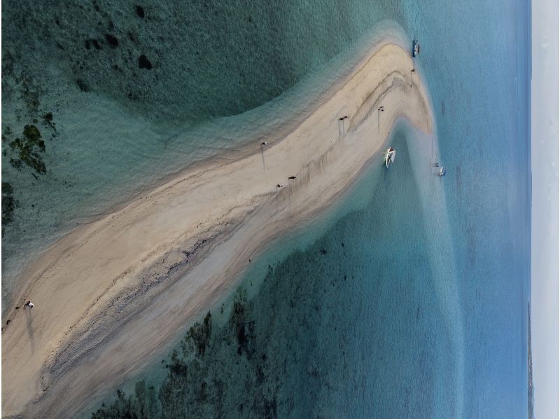 接受当日预订 ★ 0-85岁 [自开业以来100%邂逅海龟成功率] 前往神秘岛屿浮潜，邂逅海龟的几率很高（含拍照和交通）の紹介画像