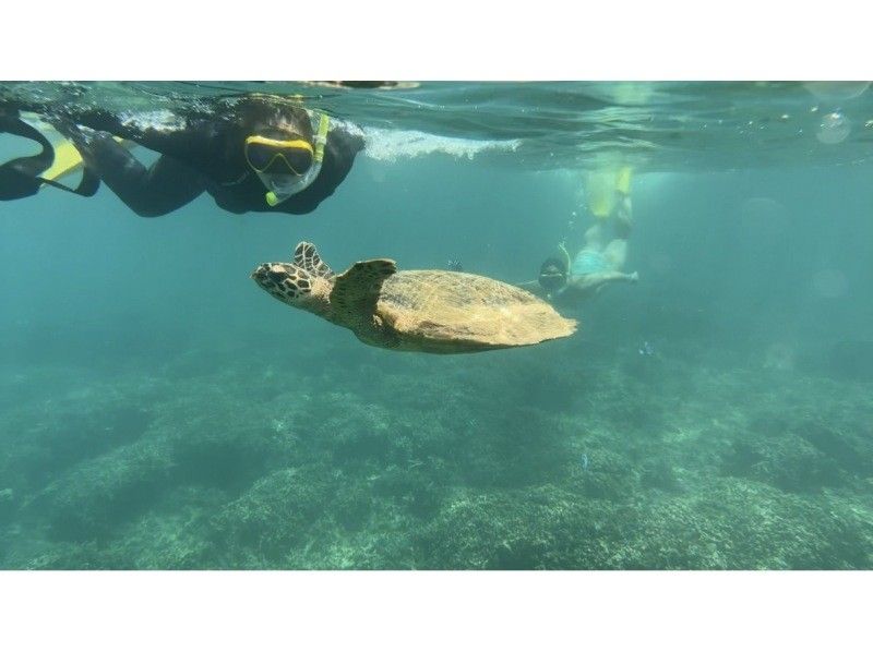 【沖縄北部・本部~瀬底島~水納島・シュノーケリング】透明度抜群の人気スポット！初心者・泳げない方でも安心の少人数制ツアー！の紹介画像